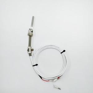 Nhà máy trực tiếp giá Trung Quốc nhà sản xuất cung cấp OEM/ODM mùa xuân-nạp bạch kim kháng nhiệt kế PT100 pt1000 IP65 đánh giá 1 - Product Image 2