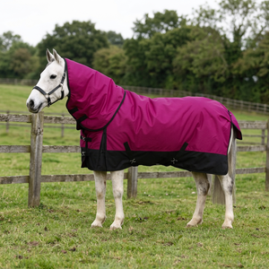 Couverture pour chevaux de qualité supérieure, design personnalisé, en polaire douce, imperméable, doublure en nylon, tissu ripstop, couleur réglable, nouvelle arrivée, pour le dressage - Product Image 3