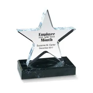 Star Shape Trophy Awards Enterprise Reward Acryl Award Blank