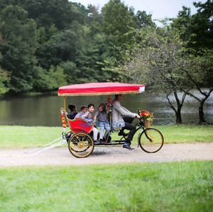 Vehículo Turístico Antiguo Personalizable, Triciclo Eléctrico de 3 Ruedas con Toldo, Bicitaxi en Venta - Product Image 1