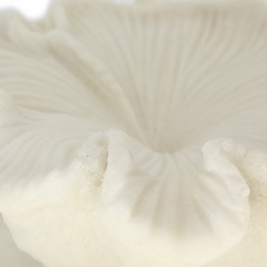 Quartz Resin Shell Decorative Bowl Modern Centerpiece Table Decor Bookshelf Styling - Product Image 5
