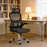 Chaise de bureau ergonomique moderne avec support OEM/ODM, soutien lombaire réglable et appui-tête, idéale pour le personnel de bureau et l'usage domestique
