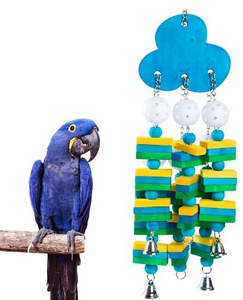 <strong>Grey</strong> <strong>Parrot</strong> Ali Sun Bites <strong>Toy</strong> Bird <strong>Toy</strong> Banana Apple Skewers - Product Image 5