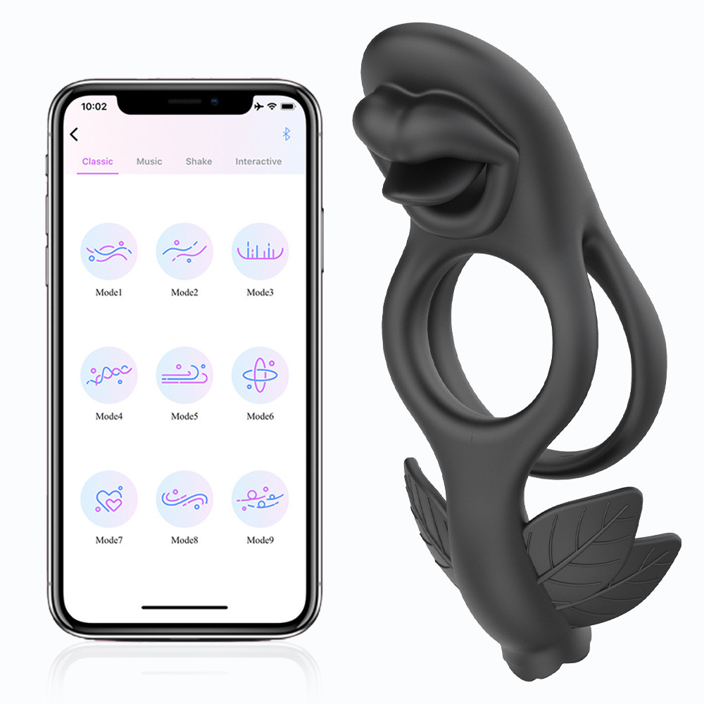 Contrôle de l'application Style 3