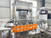 Machine de remplissage et de bouchage entièrement automatique pour sachets préformés de savon liquide et détergent