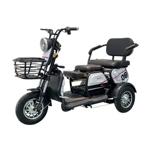 Hot Selling Good Condition Adult Electric Tricycle Mini Electric Passenger 3 Wheel Bike 3 Wheel Electric Bicycle Cargo Open