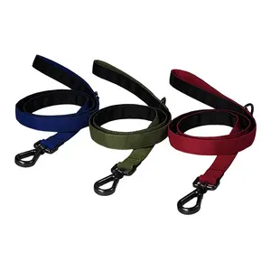 Customized Manufacturer Wholesale Outdoor Oxford Fabric Durable And Comfortable Adjustable Multi Color Dog Collar And Leash
