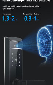 Thiết Kế Mới Qleung S810max Mặt Thông Minh Kỹ Thuật Số Tuya <span class=keywords><strong>Wifi</strong></span> Ứng Dụng Điều Khiển Mật Khẩu Thẻ Vân Tay Thông Minh Cửa Khóa Với Máy Ảnh - Product Image 4