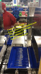 Máquina semi automática do camarão Nobashi com comprimento de estiramento ajustável para a grande escala <span class=keywords><strong>Seafood</strong></span> <span class=keywords><strong>Companies</strong></span> - Product Image 2
