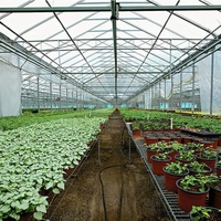 Serre agricole Jetway à structure métallique, bâche en film plastique transparente, résistante aux UV, protection contre le gel et le gelée, anti-goutte, prédécoupée