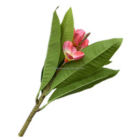 Bunga Plumeria Rubra Buatan dari Sutra dengan Sentuhan Realistis dan Daun Hijau untuk Hari Ibu