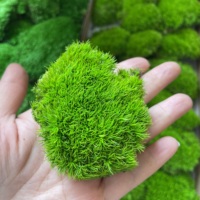 Coussin en mousse stabilisée écologique, boule de mousse naturelle verte préservée pour décoration murale artistique DIY et table de Pâques