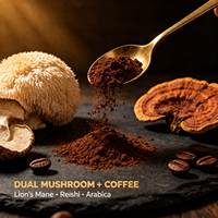 Café aux champignons Lion's Mane OEM ODM Marque Privée Mélange pour Boisson Nootropique pour la Concentration Cérébrale et Autres Compléments de Santé