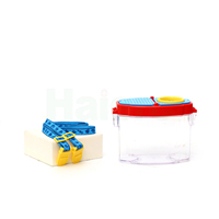 Kit de capture d'insectes, kit de collection d'insectes pour enfants, kit d'exploration de la nature en plein air