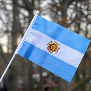 아르헨티나 핸드 헬드 깃발 6개 남미 국가 핸드 플래그 국경일 장식 폴리에스터 소형 미니 깃발 도매 - Product Image 2