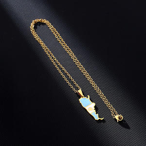 メーカーエナメルステンレススチールシルバー18Kゴールドメッキチャームネックレスエナメルアルゼンチンフラッグマップペンダントネックレス - Product Image 5