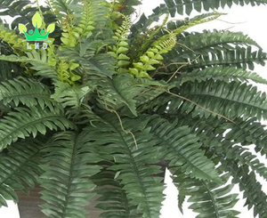 Tanaman Hias <span class=keywords><strong>Boston</strong></span> Fern Buatan dalam Keranjang Gantung, Dekorasi Dinding Rumput Tahan Lama untuk Interior/Eksterior Rumah, Kantor, atau Taman - Product Image 6