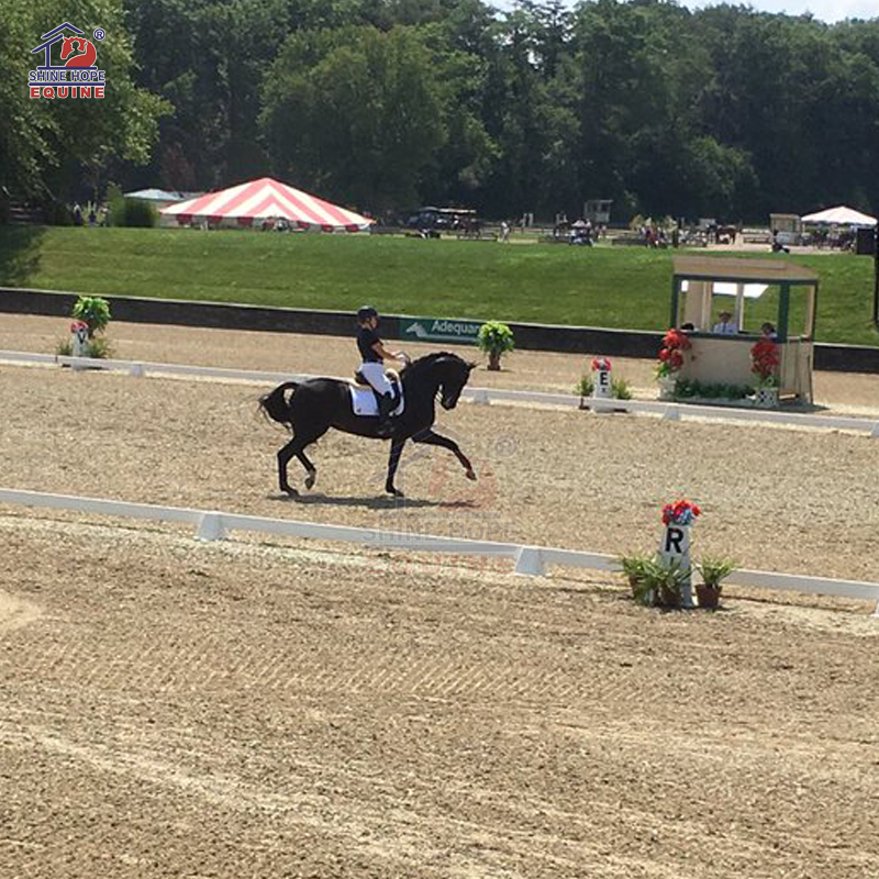 Small Uv Resistant Dressage Arena Cones