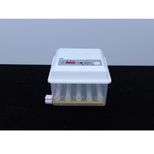 Chinese Manufacturer's Home Use Digital Mini <strong>Egg</strong> Incubator New 9/<strong>12</strong>/16 <strong>Egg</strong> Capacity for Chicken Duck Ostrich Turkey Plastic - Product Image 3