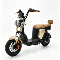 Scooter électrique vintage à deux places, batterie amovible 48V, frein à disque avant, vélo électrique pour adultes, idéal pour les trajets en ville