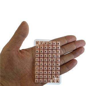 Châm cứu hạt Tai vaccaria đếm 600 hạt ép tai dùng một lần hạt giống Tai đa điều kiện Bộ bấm huyệt (10 tấm) - Product Image 5