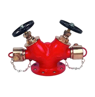 Vanne d'incendie à double sortie en fonte DN65, entrée 100 mm, pour station d'incendie - Direct Fabricant