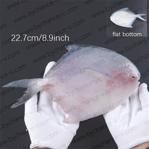 แบบจำลองปลาคอรัลทรูทเหมือนจริง สำหรับตกแต่งเมนูร้านอาหาร บุฟเฟ่ต์ และการจัดแสดงสินค้า - Product Image 6