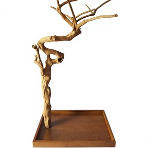 Perchoir pour oiseaux en bois de café naturel, branches de bois flotté pour oiseaux, fabriqué au Vietnam, durable, écologique, ornement pour animaux de compagnie · - Product Image 6