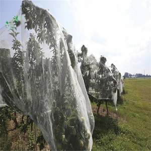 Red de protección contra insectos para plantas y verduras, cubierta protectora de flores para el cuidado de frutas y jardín, Control de plagas para invernadero, 60 unidades - Product Image 5