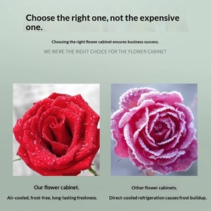 Vitrine Réfrigérée pour Fleurs, Réfrigérateur Commercial pour Fleuriste, Trois Portes, Maintien au Frais, Refroidissement par Air, Sans Givre - Product Image 5