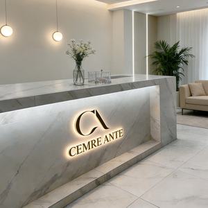 Letreros Luminosos de Lujo con Halo Dorado Cepillado, Letras Retroiluminadas de Acero Inoxidable 3D para Recepción de Salón de Belleza y Decoración de Boutique - Product Image 4