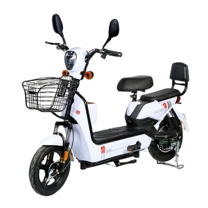 Vélo électrique à <span class=keywords><strong>moteur</strong></span> arrière sans balais 48V 350W, cadre en acier au carbone, batterie double <span class=keywords><strong>pour</strong></span> le marché international - Product Image 3