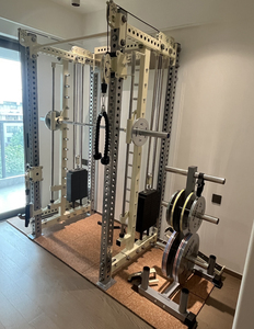 Équipement de fitness commercial série SM RP, station d'entraînement assistée par poids, sélection de dips/chins, machine de traction de haute qualité - Product Image 4