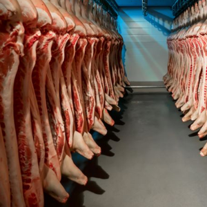 Qdevu hòa tan không khí nổi nhà máy xử lý nước thải slaghtering Thiết bị xử lý nước thải - Product Image 2