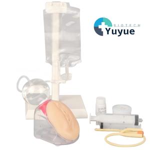 Modèle de formation à la cathétérisme féminin pour la pratique des compétences infirmières avec système de vessie simulé - Product Image 1
