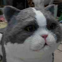 Modèle de chat animatronique de parc d'attractions chat réaliste à des fins interactives pour la prise de photos