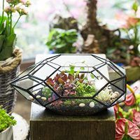Pot de fleurs succulentes en verre, porte-plantes, pour fenêtre, balcon, Terrarium, jardinière géométrique irrégulière, Offre Spéciale