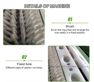 Kaju Soyma Makinesi Yüksek Verimli Dayanıklı Çiftlik Fabrikası İçin Uygun - Product Image 4