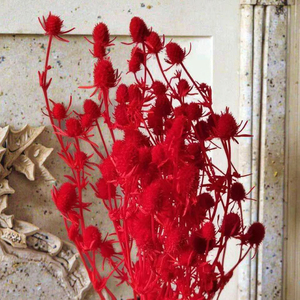 Accesorios de tiro de producción DIY, amante de las flores secas eternas, fruta, espina, apio, flores secas, Día de la madre, Navidad, respetuoso con el medio ambiente - Product Image 2