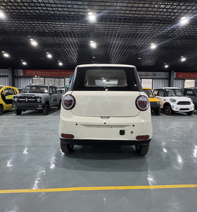 Nuovo Veicolo Elettrico Smart a Quattro Ruote, Mini Van Elettrico Direttamente dai Produttori Cinesi - Product Image 3