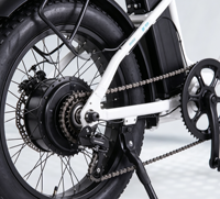 Vélo Électrique Pliant Tout-Terrain à Pneus Larges 20 Pouces, Deux Places, à Batterie, pour l'Extérieur - Vente en Gros Direct Usine - BE067
