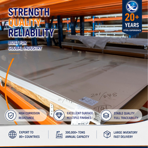 แผ่นเหล็กสแตนเลส ASTM Standard 316 ขัดผิวแบบ Bead Blasted ขนาด 20 มม. 1219 มม. 5x10 ฟุต อบอ่อนตามมาตรฐาน GB T3280 สำหรับงานสถาปัตยกรรม - Product Image 1