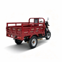 Tricycle à moteur à essence pour charges lourdes 500 kg, moteur chinois 150cc/200cc, type cargo et passagers, à vis.