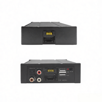 Amplificador de Potencia DSP para Automóvil, Universal de 9-16 V, para Micrófono Inalámbrico, Karaoke, Amplificador para Automóvil
