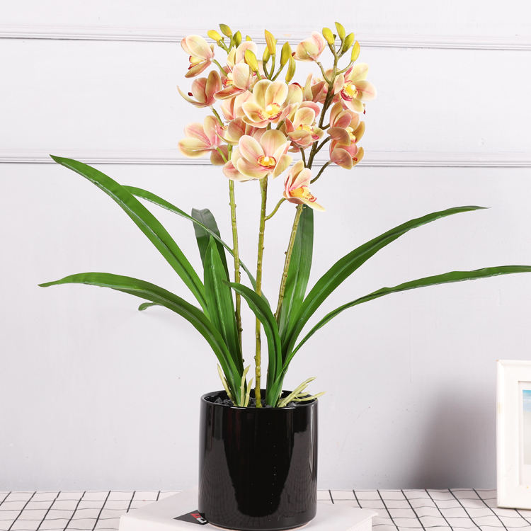 สีเขียวอ่อนและสีชมพู