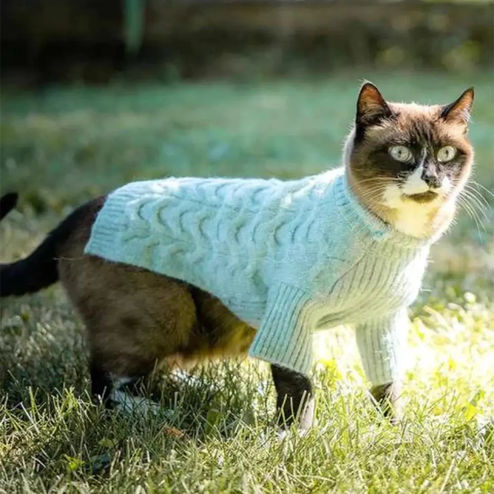 Qiqu لوازم حيوانات أليفة مخصصة جديد مصمم ملابس الجرو المحاكة للكلب ياقة مدورة سويتر الكلب جيرسي للكلاب الصغيرة المتوسطة الكبيرة القطط
