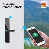Poignée de porte intelligente en bois pour chambre à coucher Diyu, serrure Tuya TTlock, empreinte digitale biométrique, WiFi, best-seller d'usine