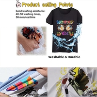 Vinyle personnalisé avec logo, plastisol pour transfert thermique DTF, autocollant pour t-shirts, techniques de sérigraphie PET prêtes à l'emploi, impression numérique
