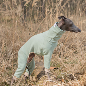 Qiqu suministros para mascotas nuevo diseñador personalizado para <span class=keywords><strong>galgo</strong></span> italiano Whippet Iggy <span class=keywords><strong>Galgo</strong></span> Jumper mono ropa cálida cuello alto para perro - Product Image 1