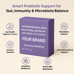 Lactiplantibacillus plantarum LMG 26655 THT 030707 Culture probiotique de qualité supérieure 10 400 UFC/g pour produits de santé alimentaires fermentés - Product Image 2